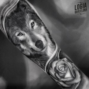 tatuaje_brazo_lobo_rosa_logia_barcelona_diego_almeida 